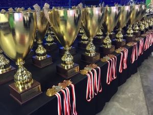 <br />
		Результаты 33-го Чемпионата Европы по киокушинкай<br />
	